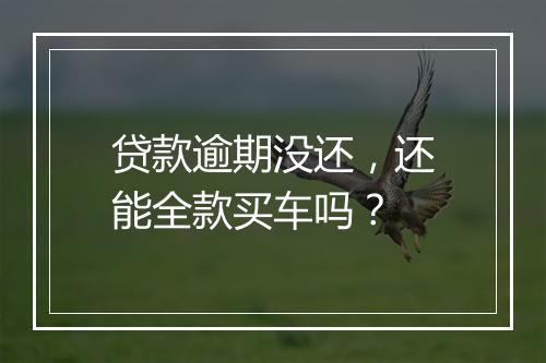 贷款逾期没还，还能全款买车吗？