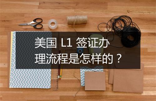 美国 L1 签证办理流程是怎样的？