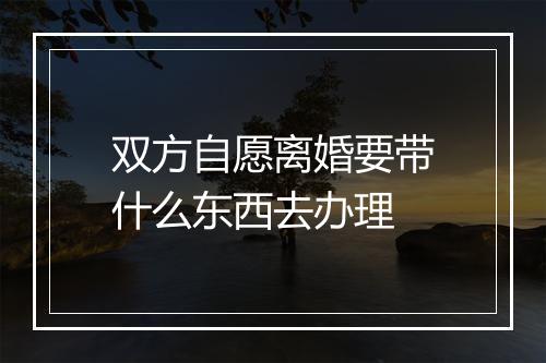 双方自愿离婚要带什么东西去办理