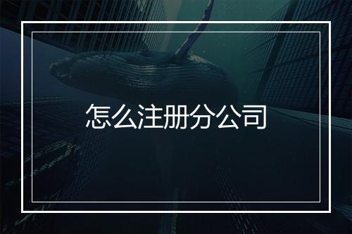 怎么注册分公司