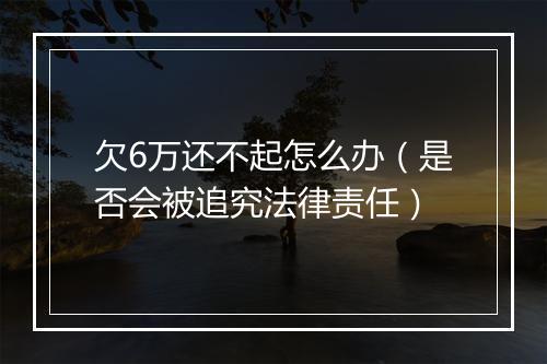 欠6万还不起怎么办（是否会被追究法律责任）