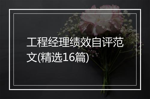 工程经理绩效自评范文(精选16篇)
