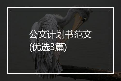 公文计划书范文(优选3篇)