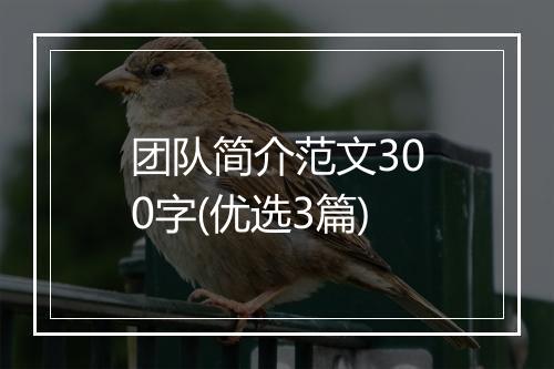 团队简介范文300字(优选3篇)