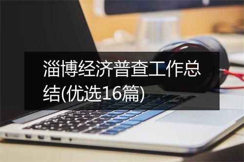 淄博经济普查工作总结(优选16篇)