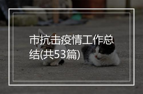 市抗击疫情工作总结(共53篇)