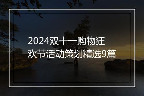 2024双十一购物狂欢节活动策划精选9篇