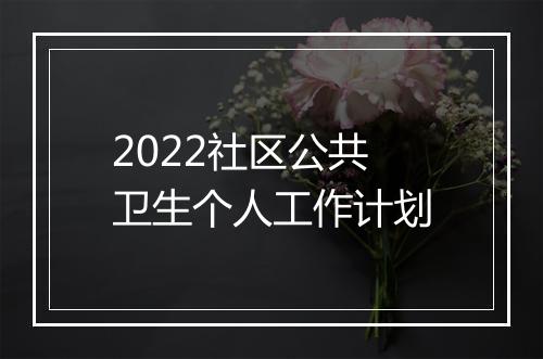 2022社区公共卫生个人工作计划