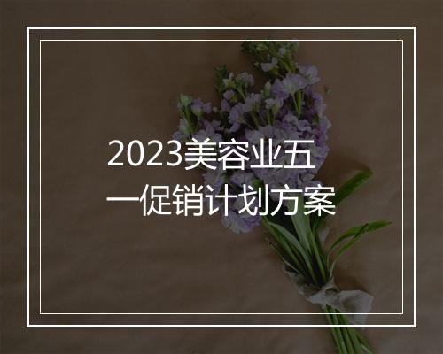 2023美容业五一促销计划方案