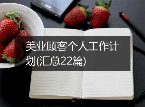 美业顾客个人工作计划(汇总22篇)