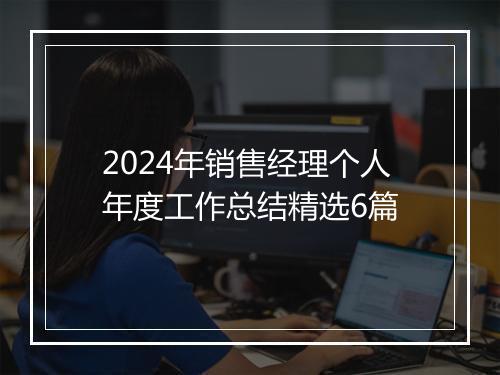 2024年销售经理个人年度工作总结精选6篇