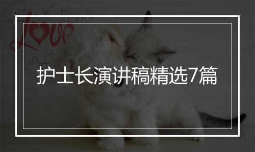 护士长演讲稿精选7篇