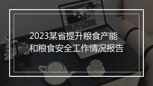2023某省提升粮食产能和粮食安全工作情况报告