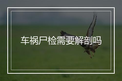 车祸尸检需要解剖吗