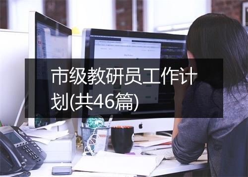 市级教研员工作计划(共46篇)