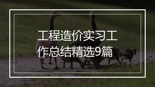 工程造价实习工作总结精选9篇