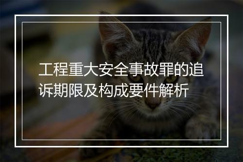 工程重大安全事故罪的追诉期限及构成要件解析