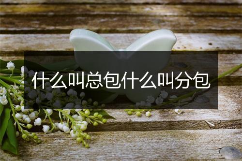 什么叫总包什么叫分包