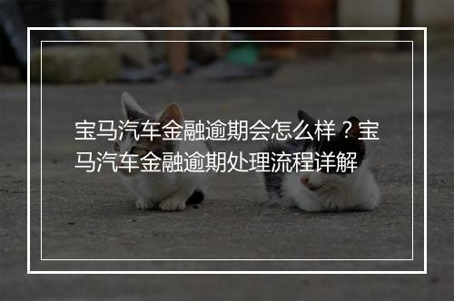 宝马汽车金融逾期会怎么样？宝马汽车金融逾期处理流程详解