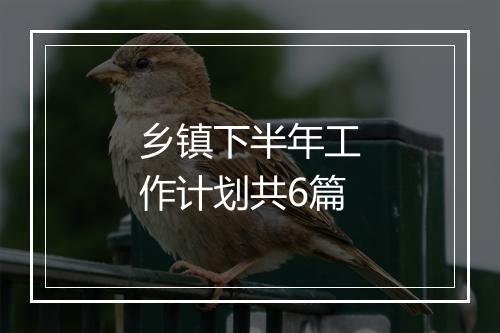 乡镇下半年工作计划共6篇