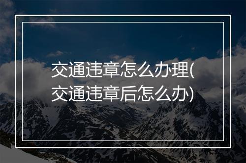 交通违章怎么办理(交通违章后怎么办)