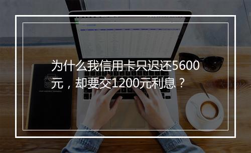 为什么我信用卡只迟还5600元，却要交1200元利息？