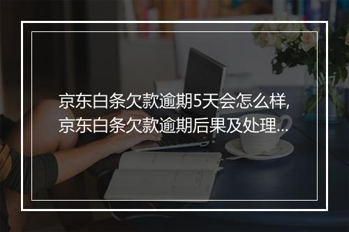 京东白条欠款逾期5天会怎么样,京东白条欠款逾期后果及处理办法