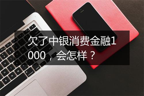 欠了中银消费金融1000，会怎样？