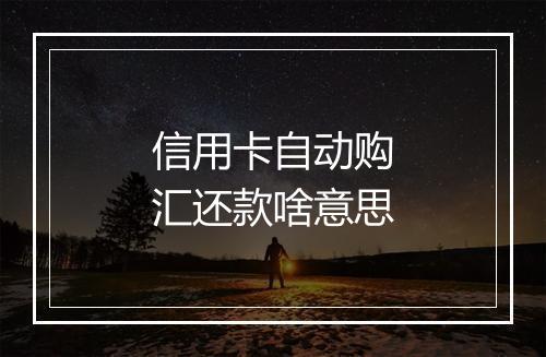 信用卡自动购汇还款啥意思