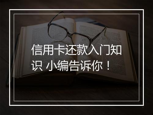 信用卡还款入门知识 小编告诉你！
