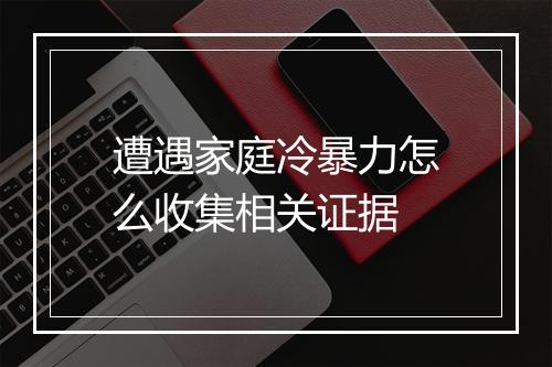 遭遇家庭冷暴力怎么收集相关证据