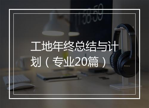 工地年终总结与计划（专业20篇）