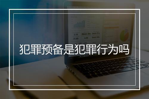 犯罪预备是犯罪行为吗