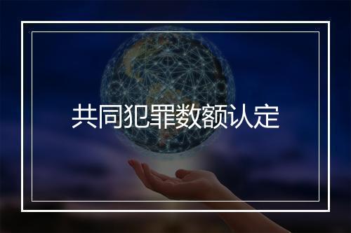 共同犯罪数额认定