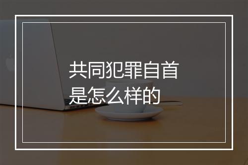 共同犯罪自首是怎么样的