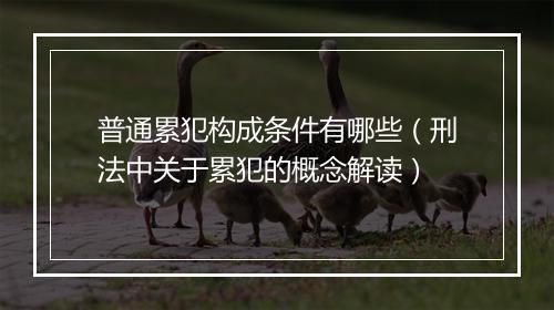 普通累犯构成条件有哪些（刑法中关于累犯的概念解读）