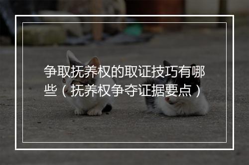 争取抚养权的取证技巧有哪些（抚养权争夺证据要点）