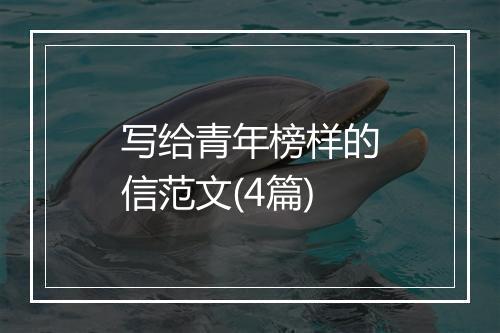 写给青年榜样的信范文(4篇)