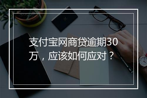 支付宝网商贷逾期30万，应该如何应对？
