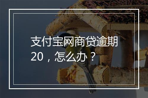 支付宝网商贷逾期20，怎么办？