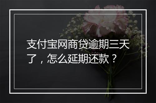 支付宝网商贷逾期三天了，怎么延期还款？