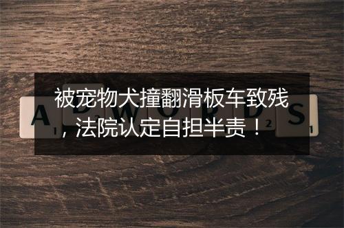 被宠物犬撞翻滑板车致残，法院认定自担半责！