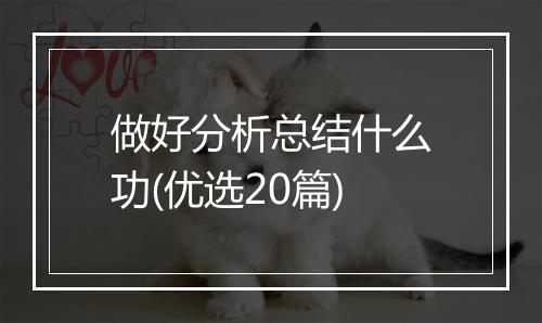 做好分析总结什么功(优选20篇)