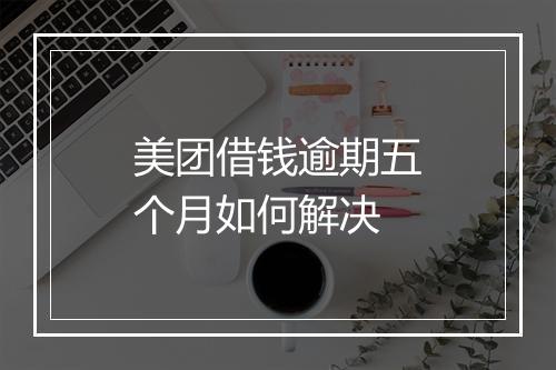 美团借钱逾期五个月如何解决