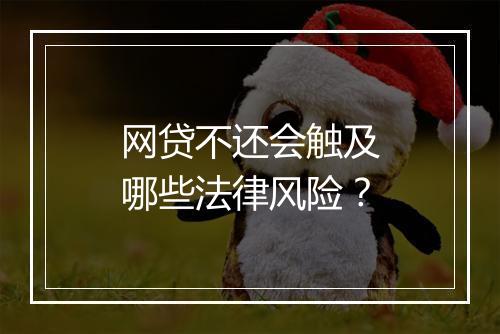 网贷不还会触及哪些法律风险？