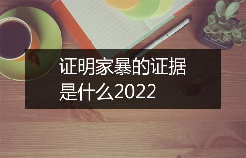 证明家暴的证据是什么2022