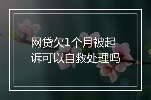 网贷欠1个月被起诉可以自救处理吗