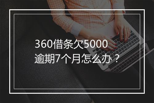 360借条欠5000逾期7个月怎么办？