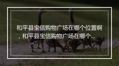 和平县宝信购物广场在哪个位置啊，和平县宝信购物广场在哪个位置