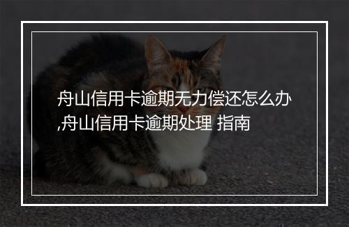 舟山信用卡逾期无力偿还怎么办,舟山信用卡逾期处理 指南